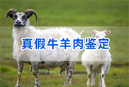 株洲羊类动物鉴定